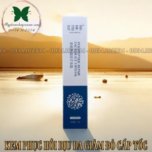 REPAIR FACTOR POLYPEPTIDE ICE