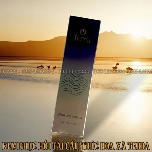 KEM TÁI CẤU TRÚC HOA XÀ TERRA